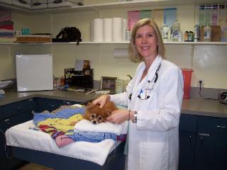Dr. Stacey Eccher examining a dog